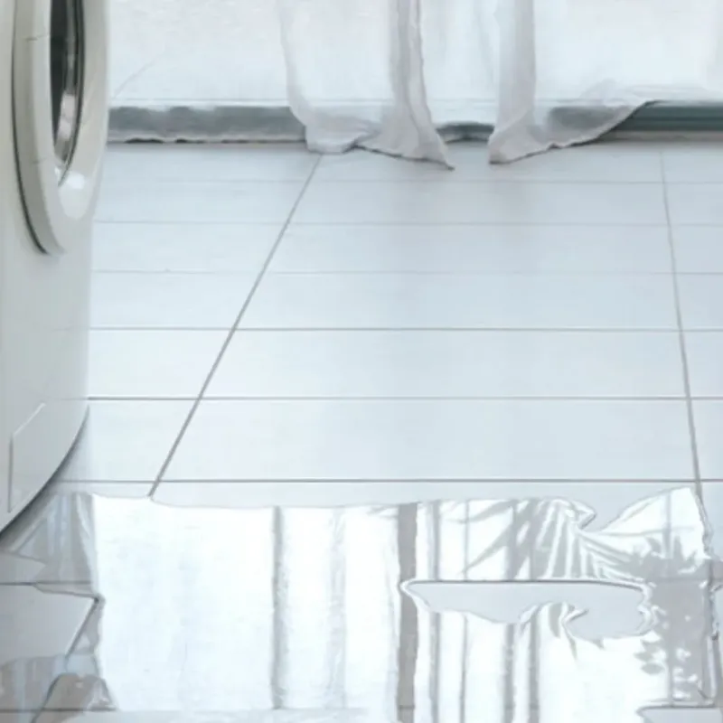 Appliance Leak Cleanup in Hilltop Lakes, TX