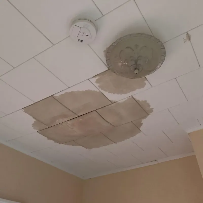Ceiling Water Damage Repair in Hilltop Lakes, TX