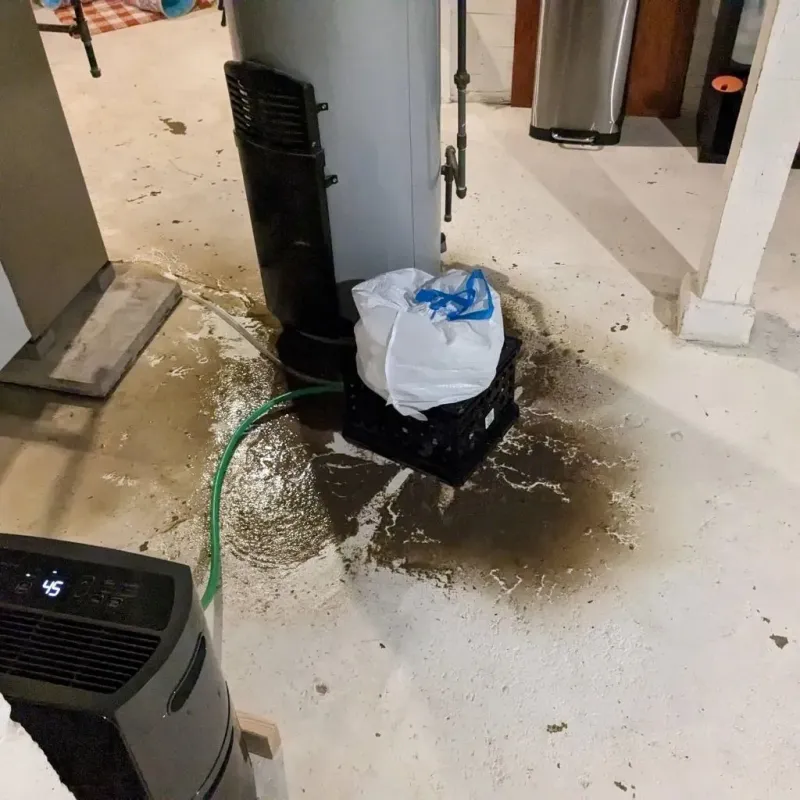 Sewage Backup Cleanup Service in Hilltop Lakes, TX